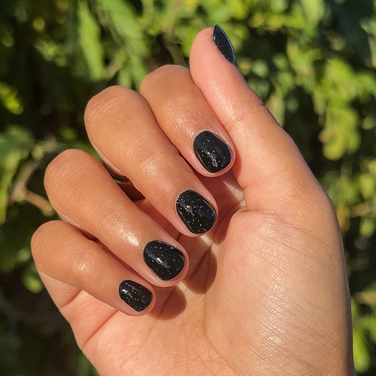 Stargaze、mySite、solidvoid