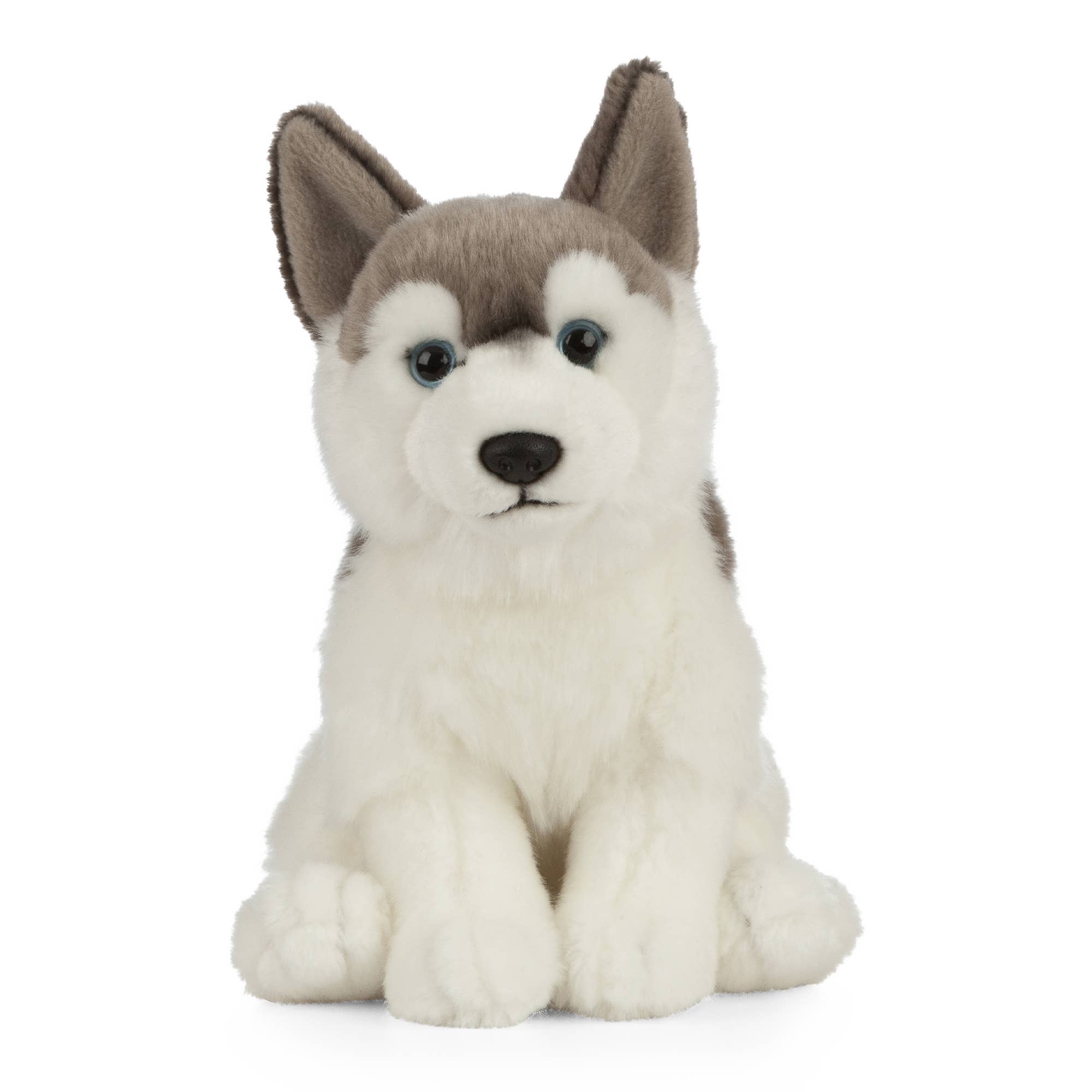 Husky Sitting Plush、mySite、g9winljtr