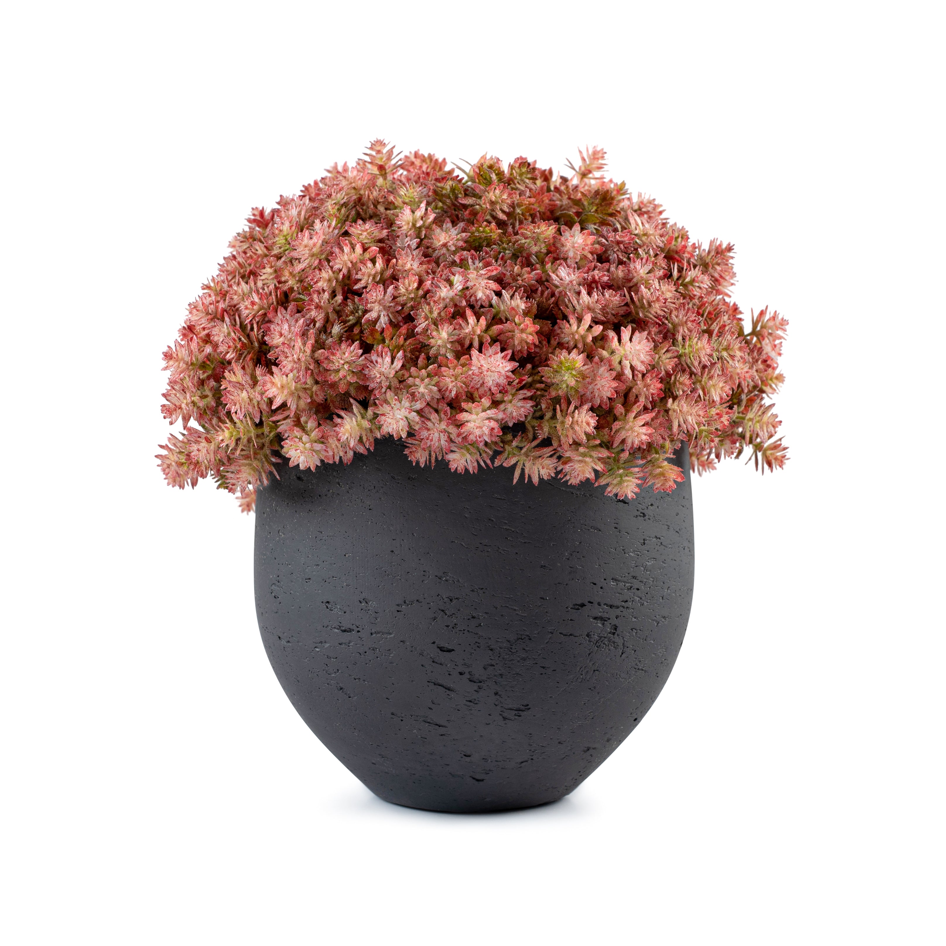  DH Pink Bud Floral、mySite、elrpsem3k