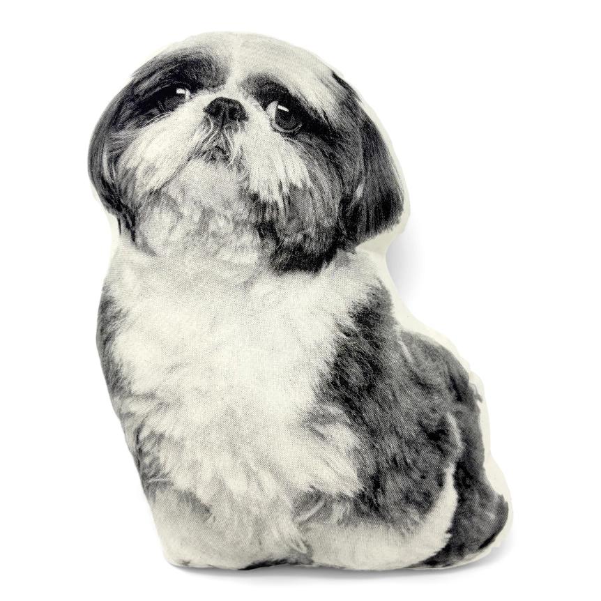 Shih Tzu Pillow、mySite、g9winljtr