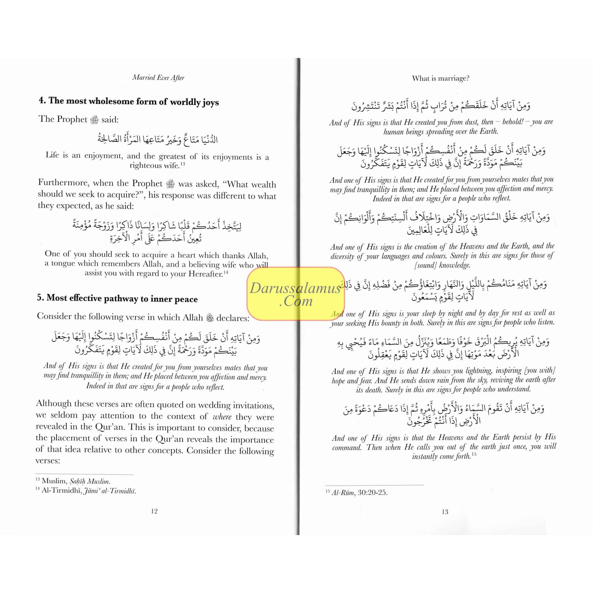 Married Ever After、mySite、topwebapps