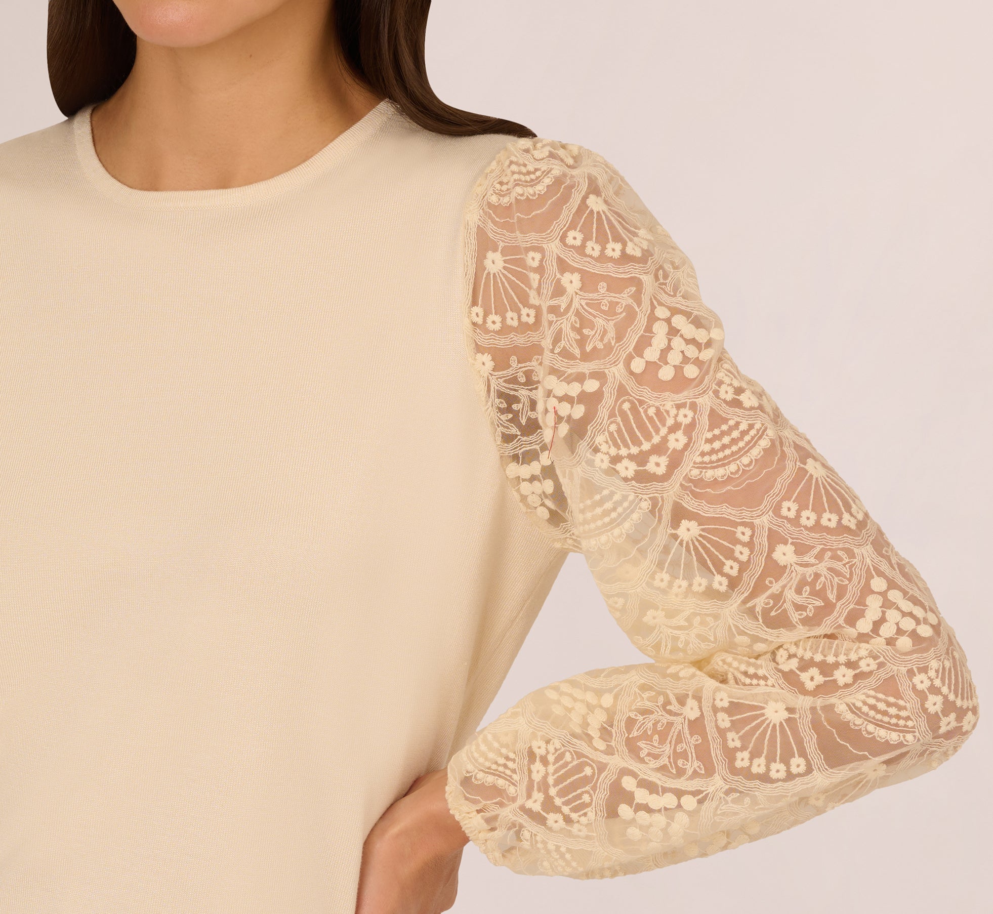 Lace Sleeve Crew Neck Sweater In Cream、mySite、solidvoid