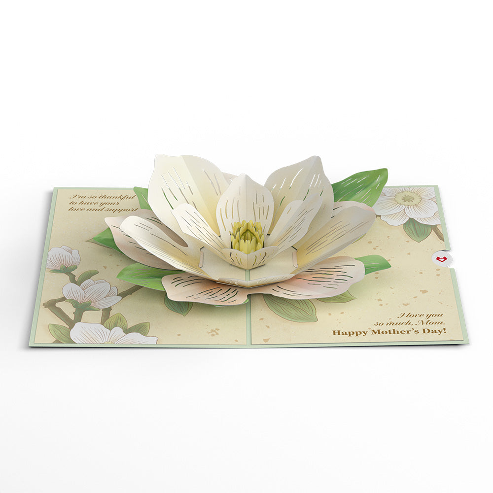 Mother’s Day Magnolia Pop-Up Card、mySite、solidvoid