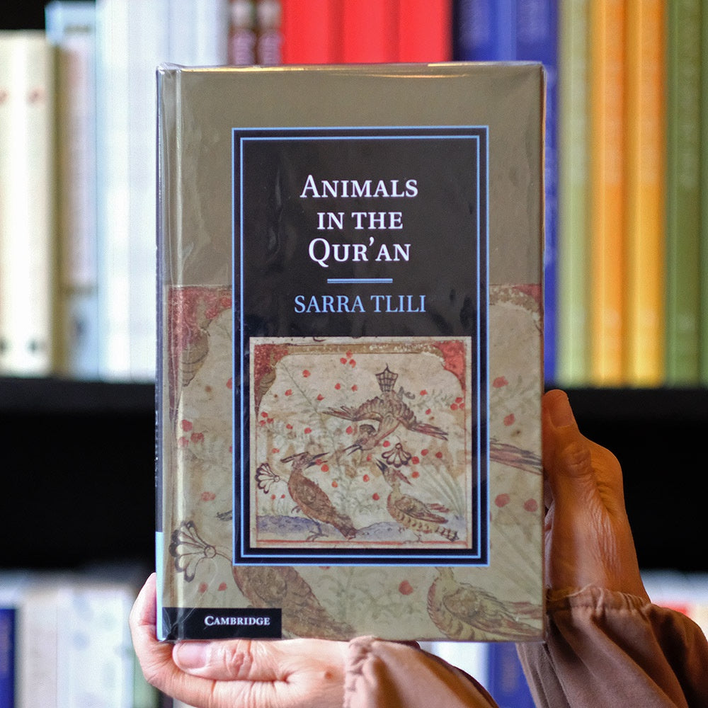 Animals in the Quran、mySite、topwebapps