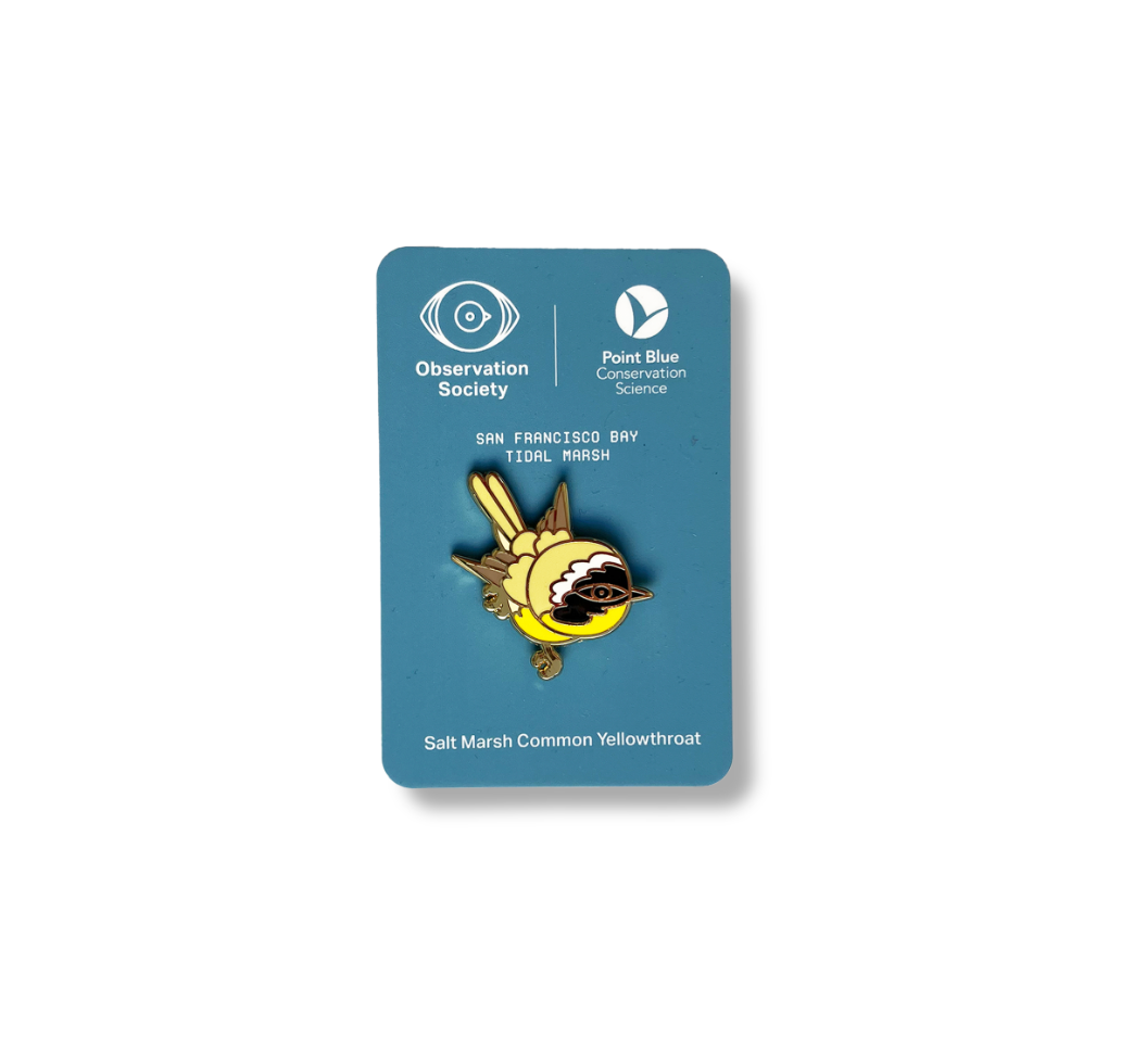 Observation - Salt Marsh Common Yellowthroat - Bird Pin、mySite、garagedoors4me