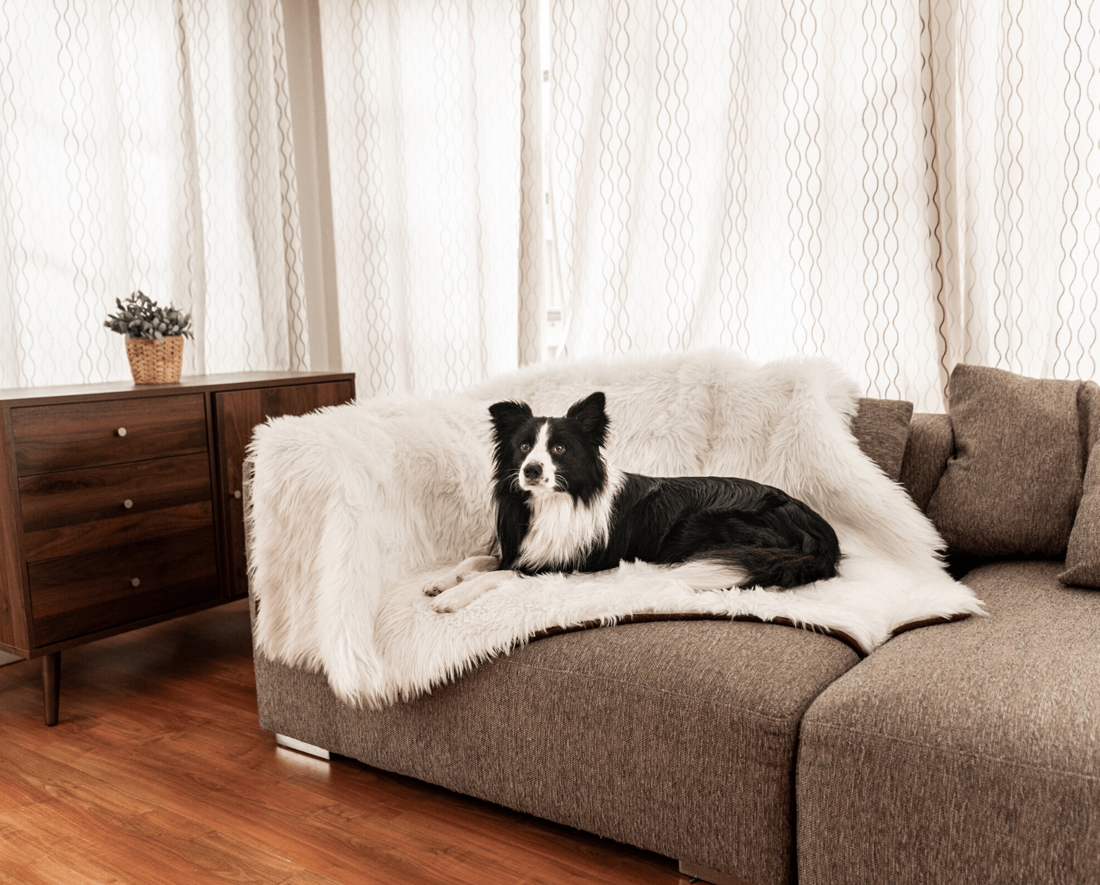 PupRug™ Memory Foam Bed + Matching Waterproof Blanket Bundle - Polar Bear Faux Hide、mySite、solidvoid