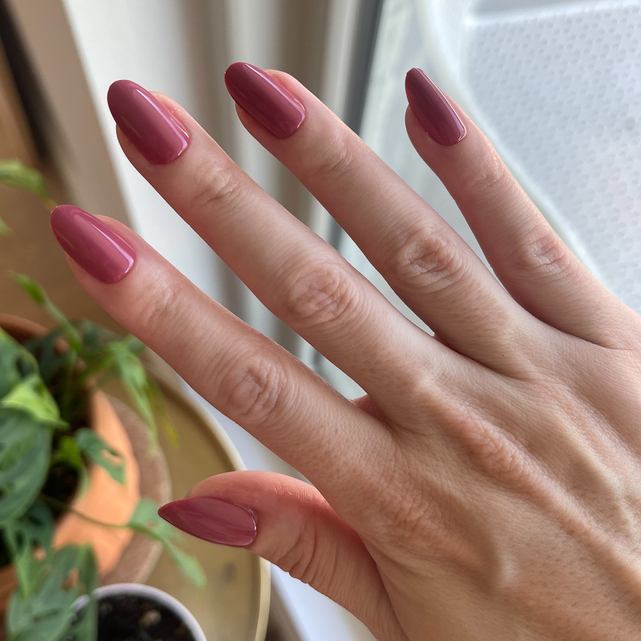 LD - Press-On | Medium | Oval、mySite、solidvoid