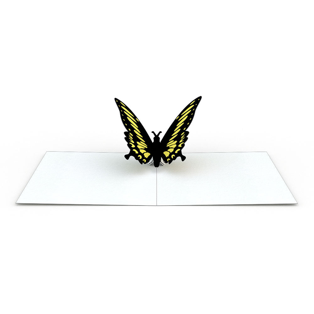 Butterfly Notecards (Assorted 4-Pack)、mySite、solidvoid