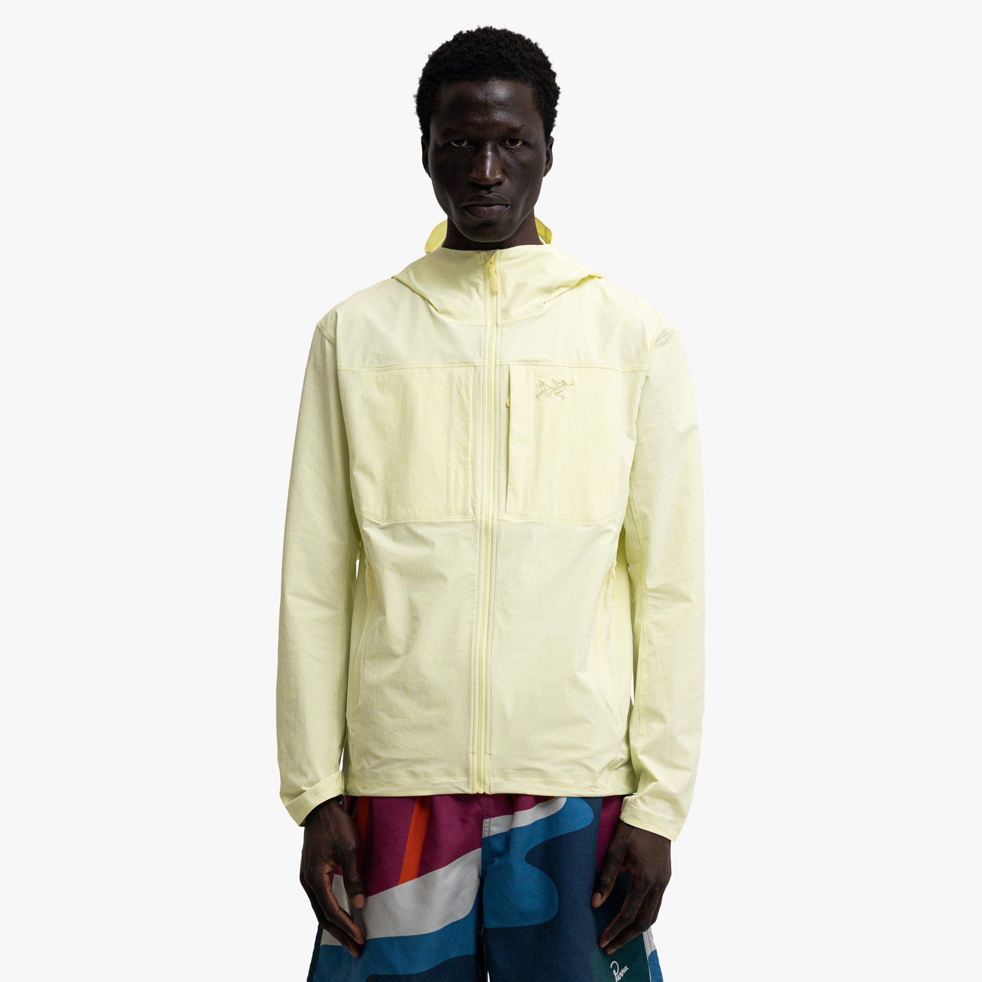  Arc'teryx Gamma Lightweight Hoody Ray、mySite、merchandisen