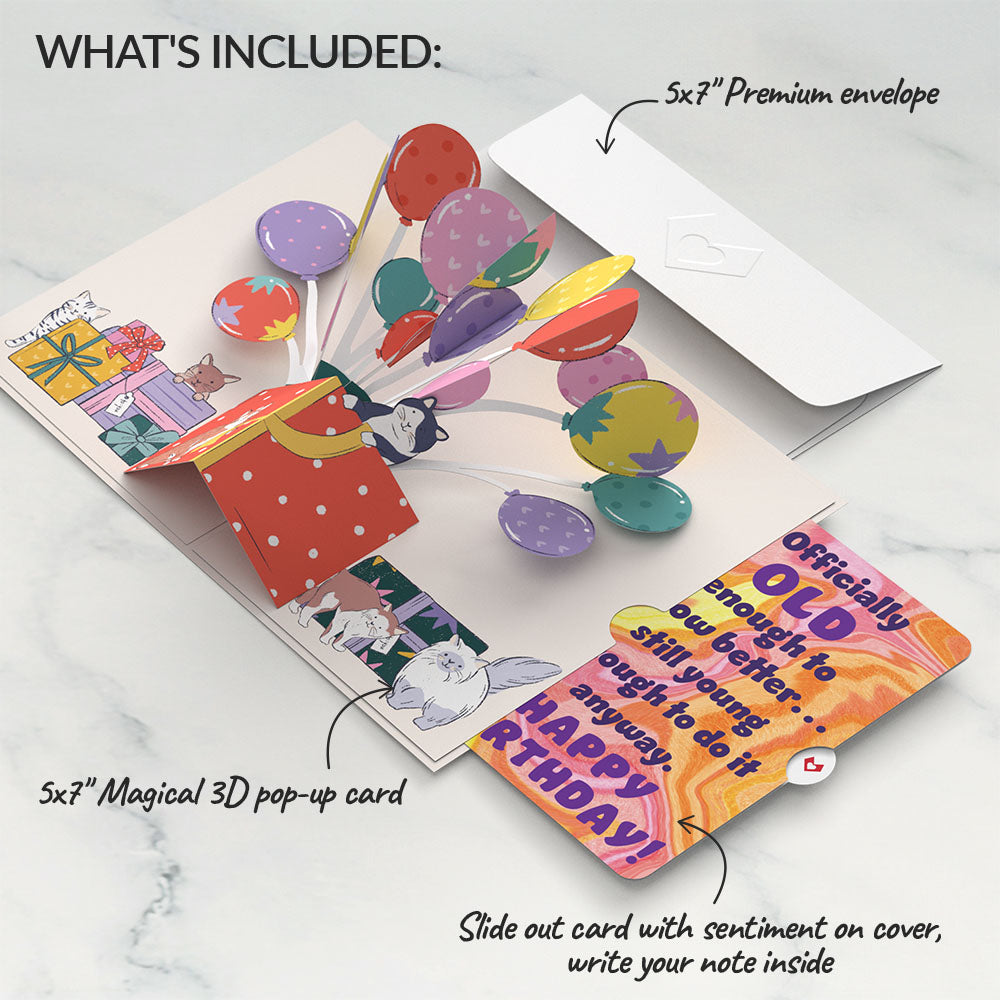 Curious Cats Birthday Pop-Up Card and Sentiment Set、mySite、solidvoid