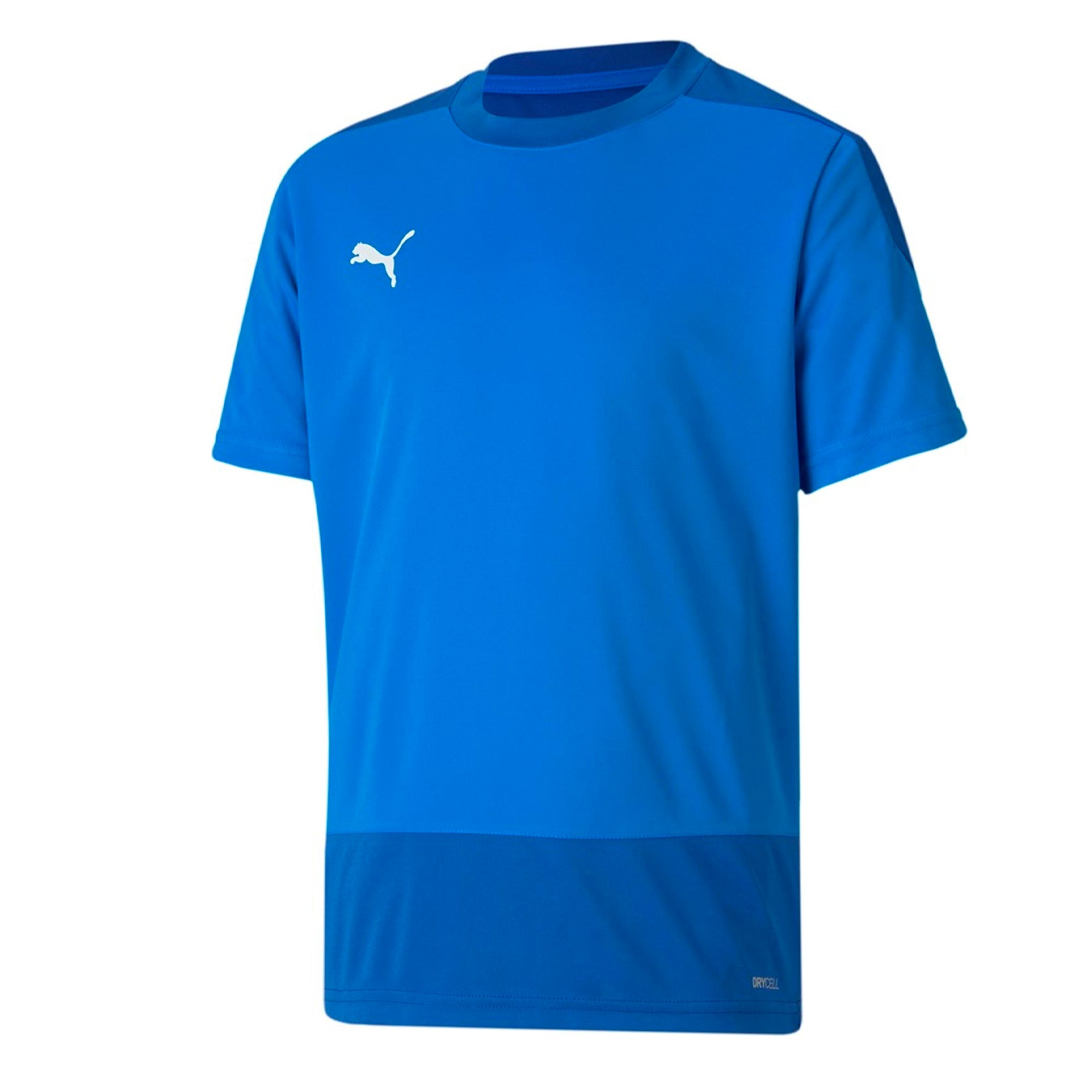 PUMA Men's Team Goal 23 Jersey Royal、mySite、noshort