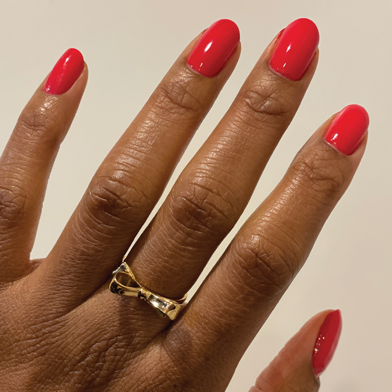 Hibiscus、mySite、solidvoid