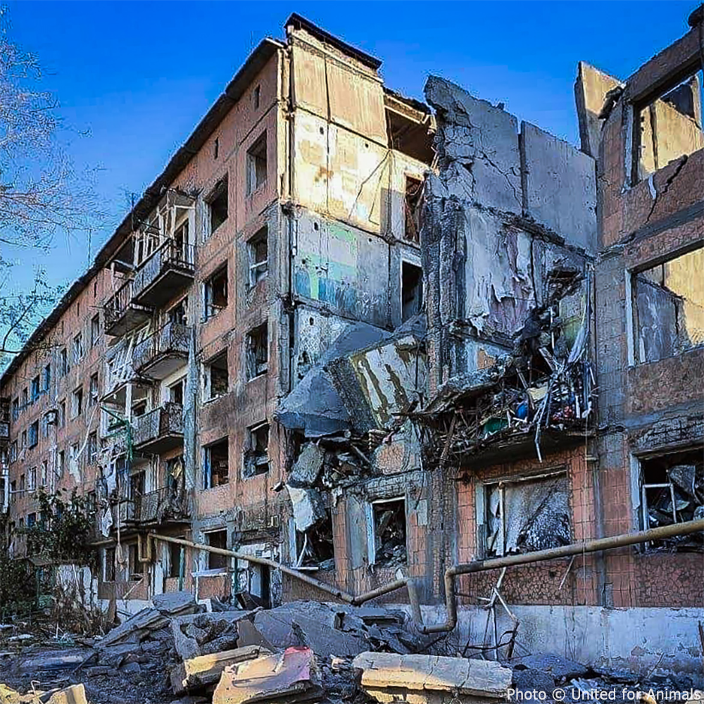 Civilians Targeted! Help Homeless Victims Rebuild From Ruthless Missile Strikes、mySite、camillekostekn