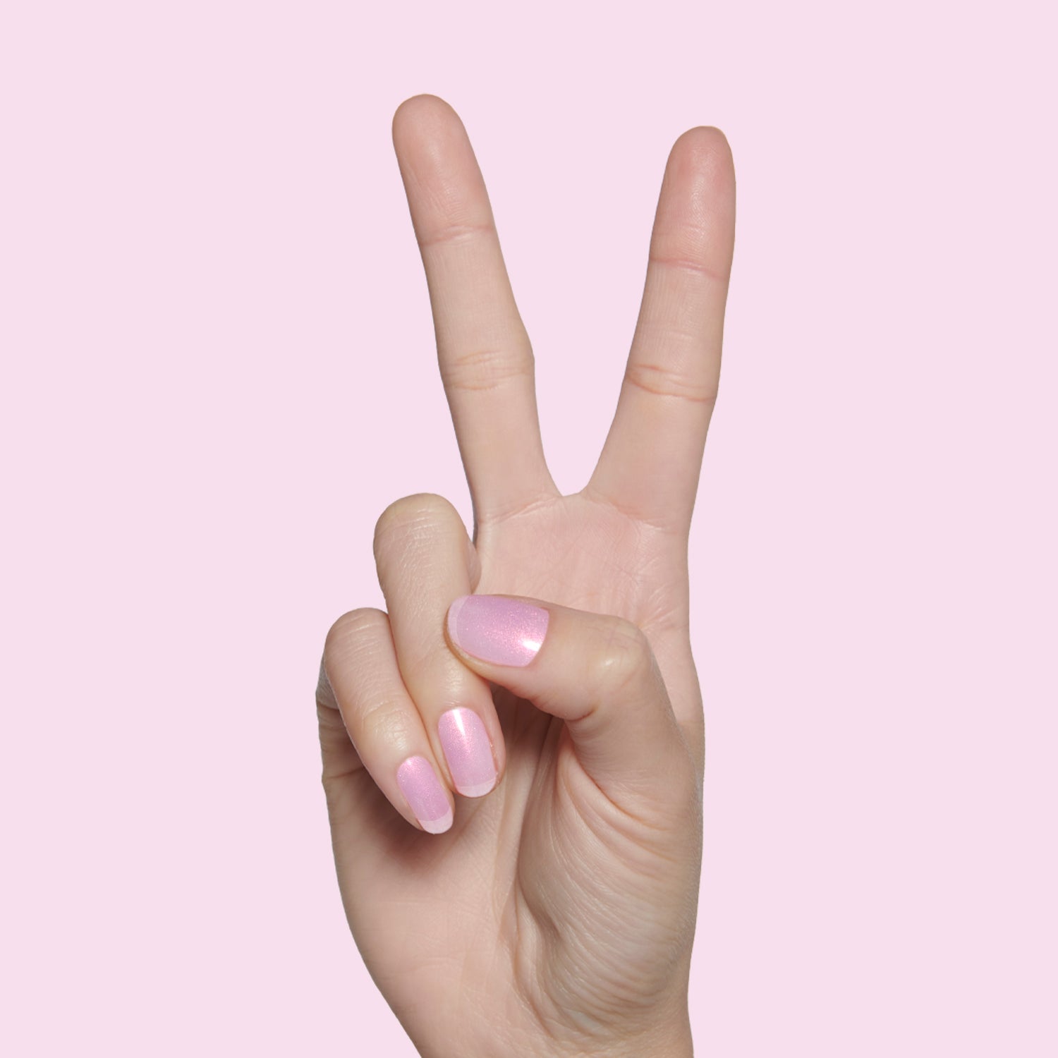 Pink Goldfish、mySite、solidvoid