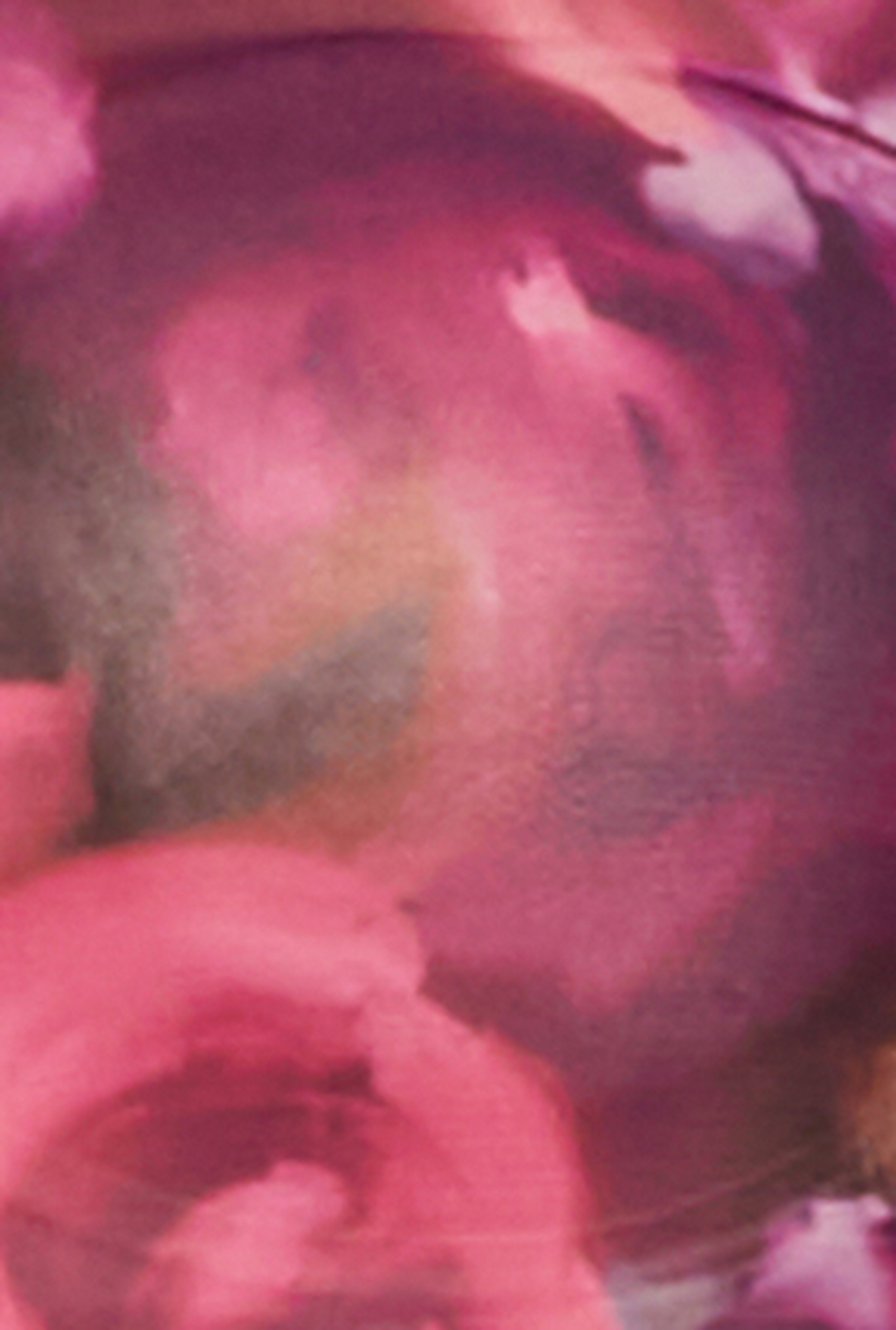 Floral Print Long Sleeve Mesh Top、mySite、camillekostekn