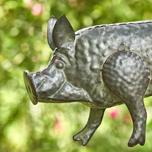 Galvanized Pig Bird House Patio Decor、mySite、g9winljtr