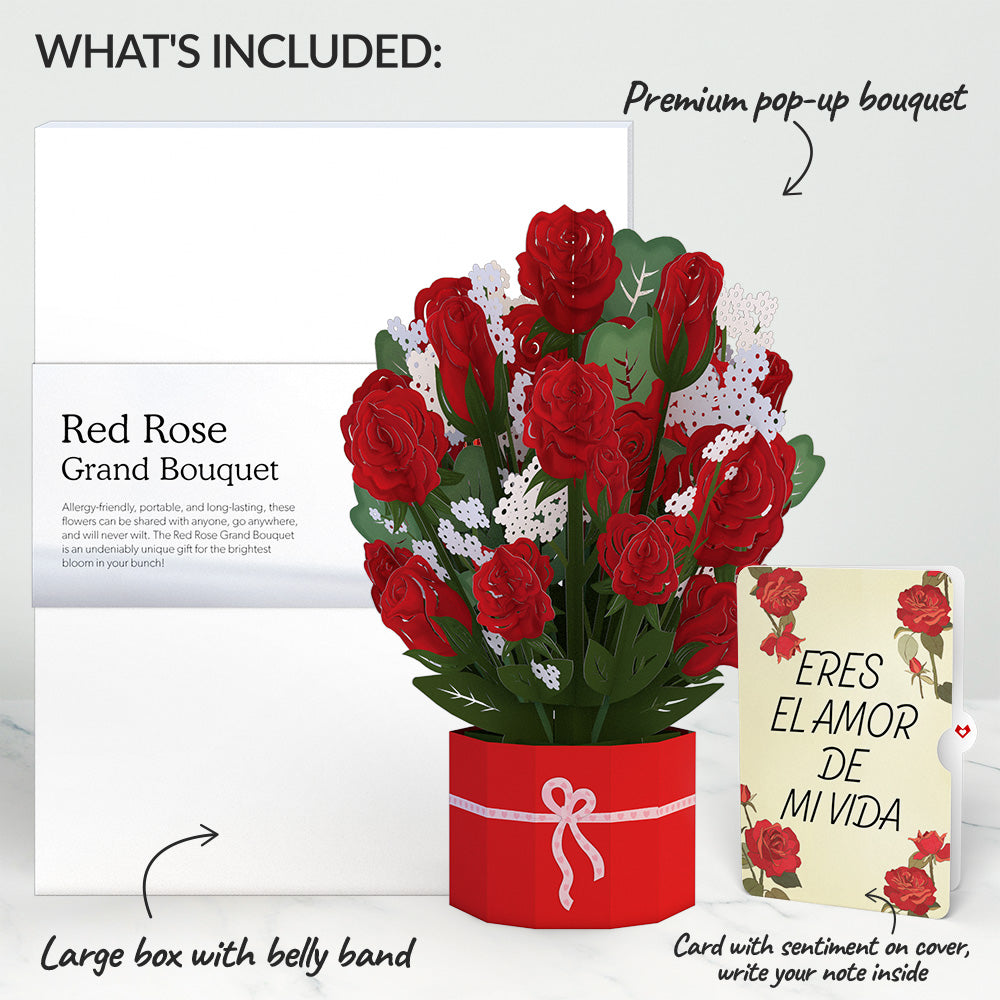 Red Rose Eres El Amor De Mi Vida Valentine Grand Bouquet and Sentiment Set、mySite、solidvoid
