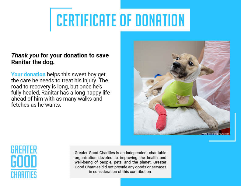 Funded: Ranitar Needs Help to Overcome Deadly Infection、mySite、camillekostekn