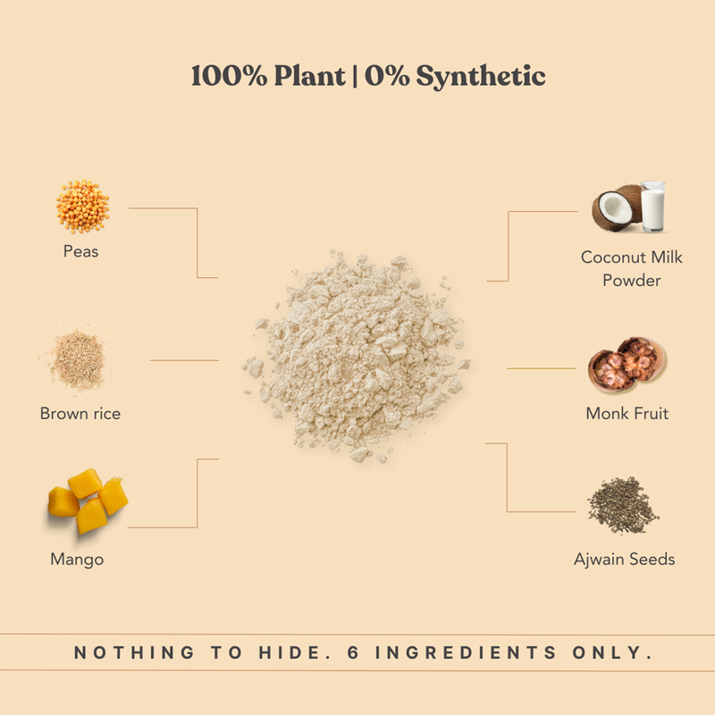 Plant Protein Alphonso Mango | For Stamina, Energy, & Managing Weight | Pack Of 6、mySite、camillekostekn