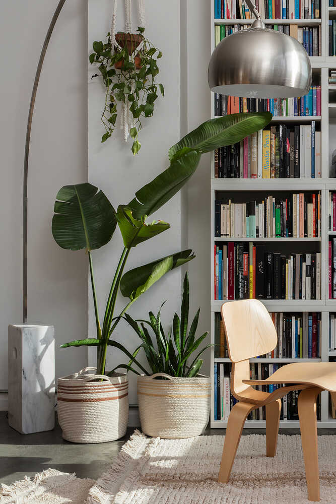 STORAGE BASKET TWIN AMBER、mySite、gigharbornorthrealestate