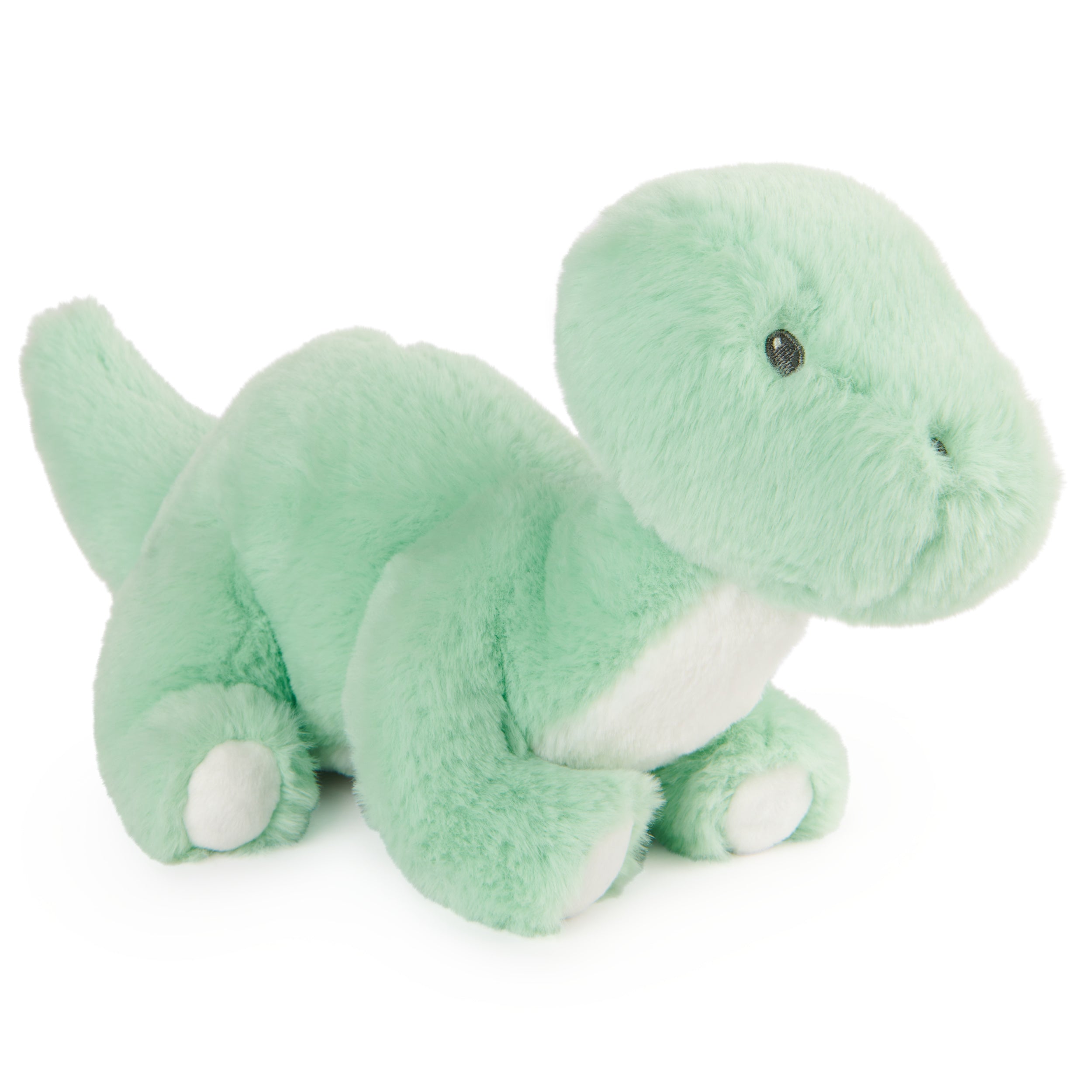 Fern™ Dinosaur, 10 in、mySite、pszhyizbm
