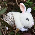 Black or Blue & White or White Bunny Rabbits Realistic Size 23cm.、mySite、g9winljtr