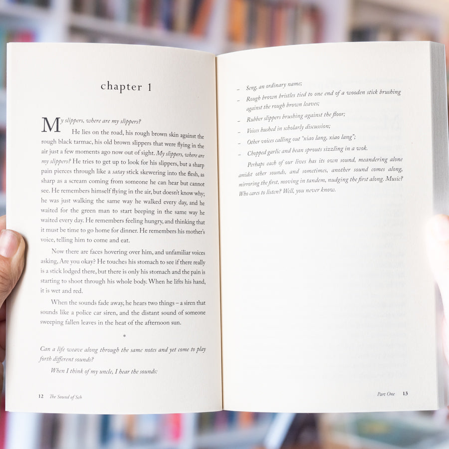 The Sound of SCH: A Mental Breakdown, A Life Journey、mySite、topwebapps