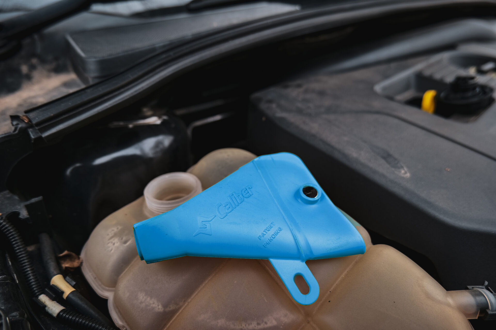 Flex Fold Funnels、mySite、dreamappss