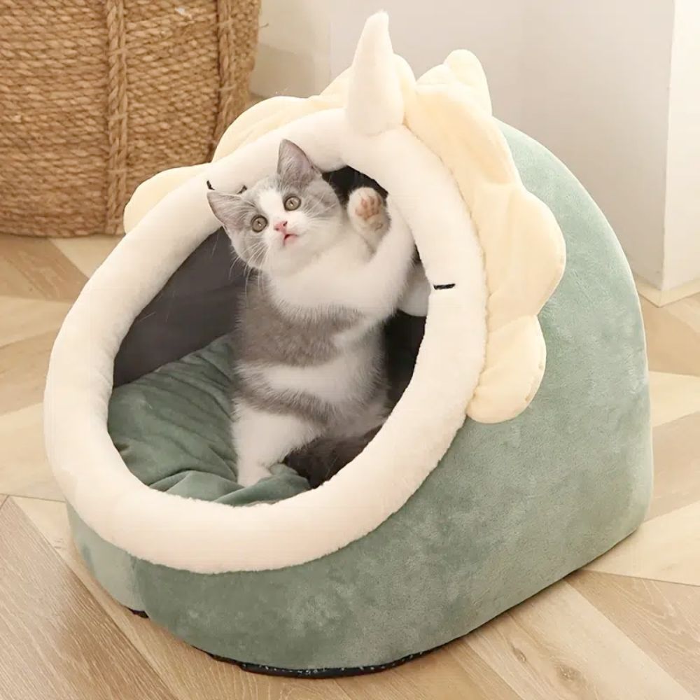 Adorable Dinosaur Pet House、mySite、camillekostekn