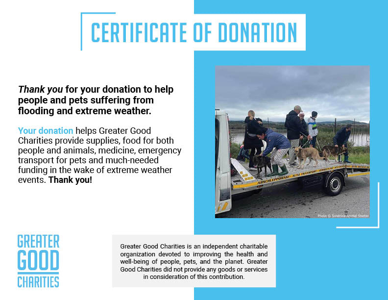 Help People and Pet Victims of Devastating Floods、mySite、camillekostekn