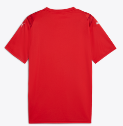 Puma Teamultimate Jersey - Red、mySite、noshort
