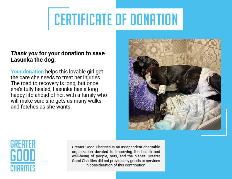 Funded: Help Lasunka Heal After Rescue From War Zone、mySite、camillekostekn