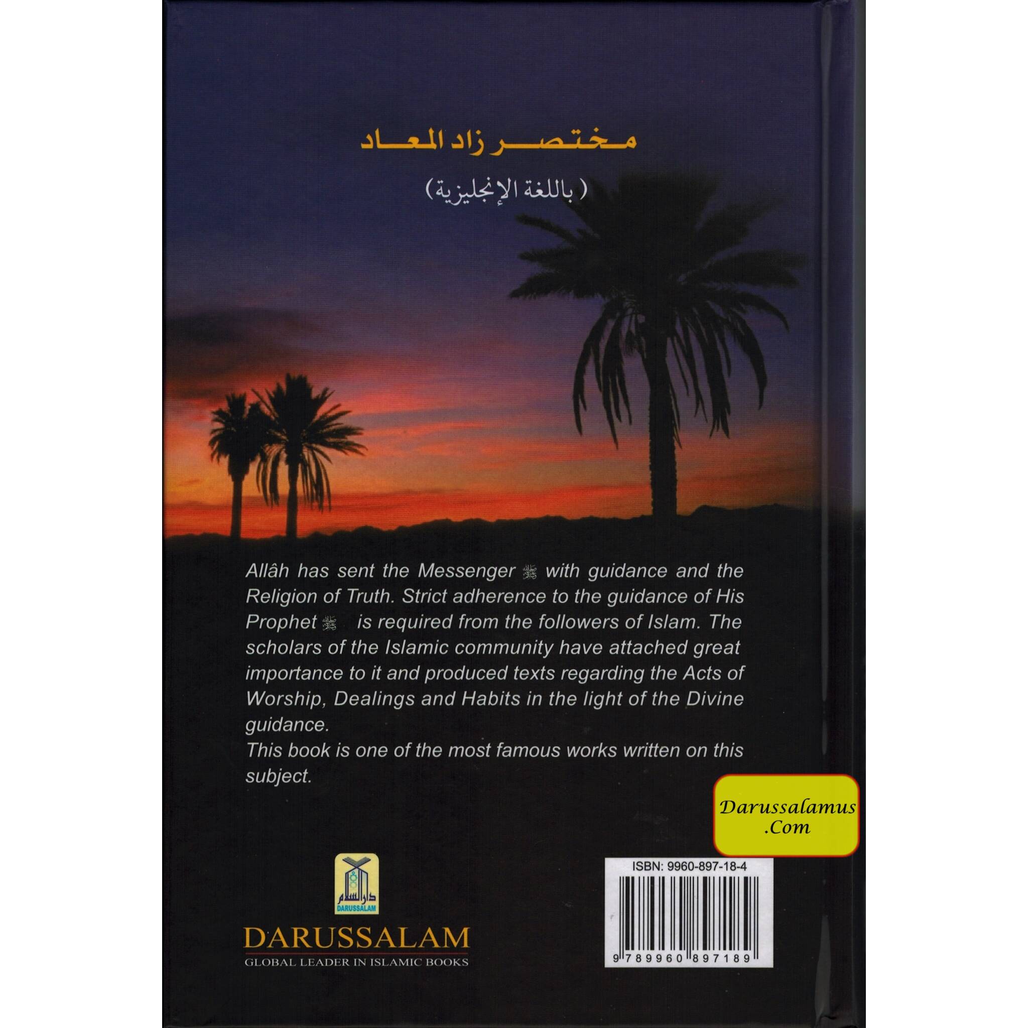 Provisions for the Hereafter: Mukhtasar Zad Al-Maad By Imam Ibn Qayyim Al-Jauziyah、mySite、topwebapps