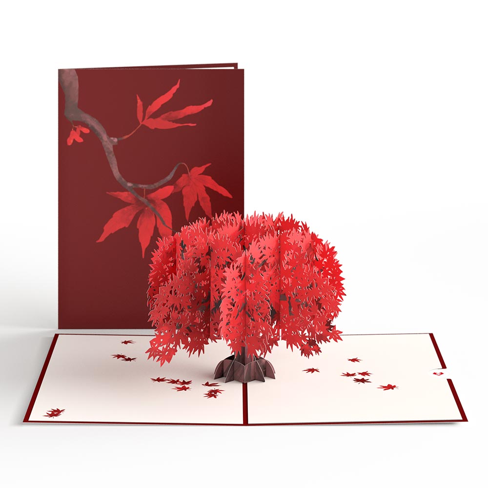 Majestic Japanese Maple Pop-Up Card、mySite、solidvoid