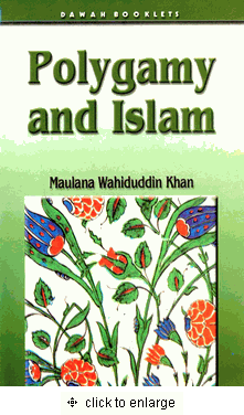 Polygamy and Islam - Dawah Booklet、mySite、topwebapps