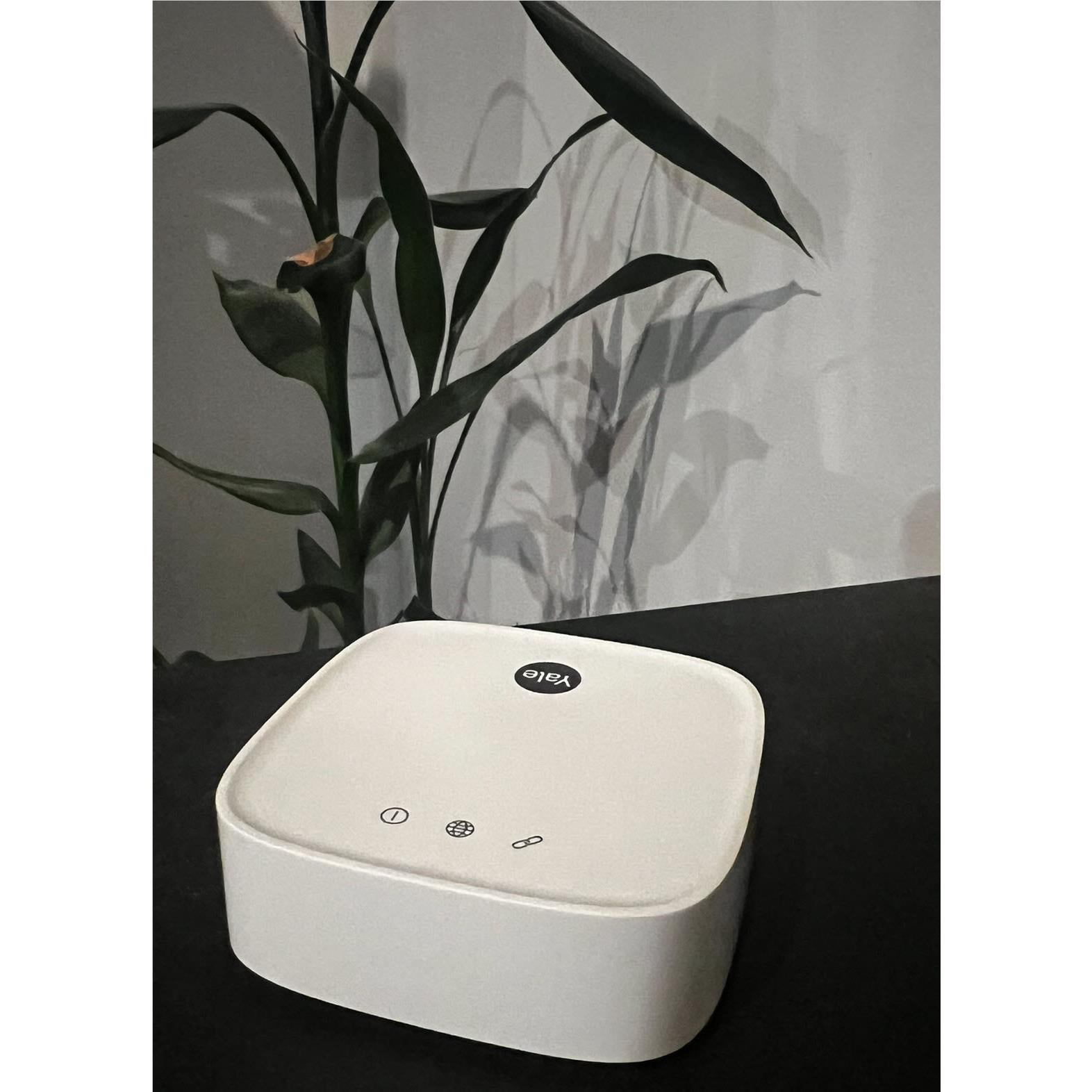 Yale Connect Plus Hub 2、mySite、camillekostekn