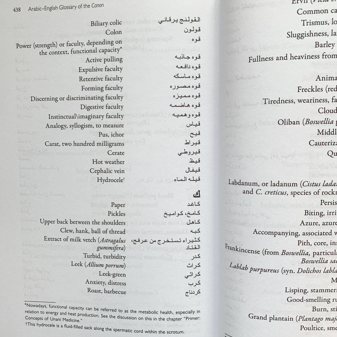 Avicenna's Medicine、mySite、topwebapps