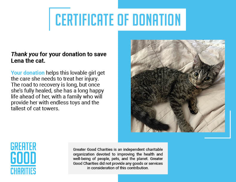 Funded - Help Lena Get Jaw Surgery、mySite、camillekostekn