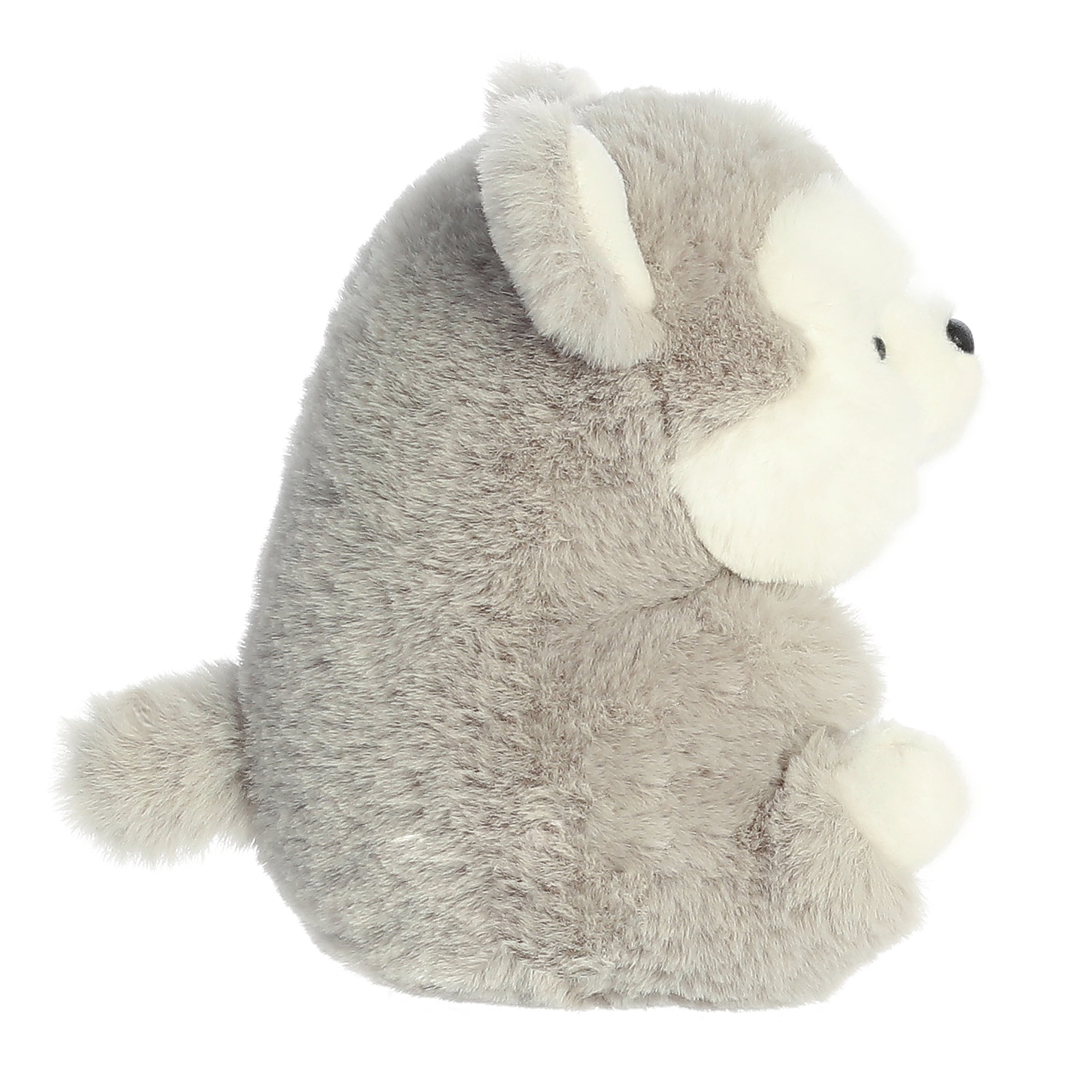 Aurora® - Rolly Pet™ - 5 Hampshire Husky™、mySite、g9winljtr