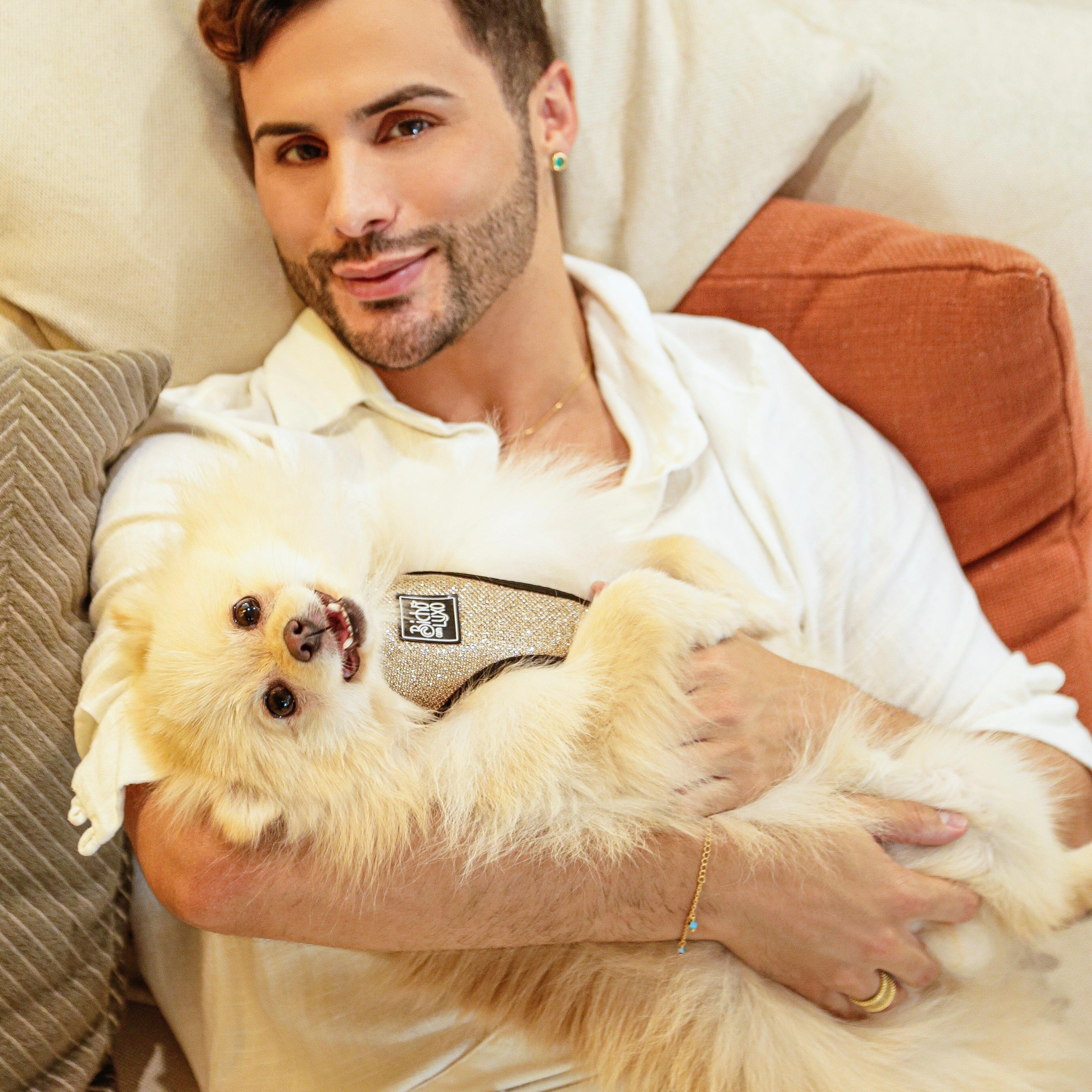 Peitoral com Guia Luxo P - neoprene e nix、mySite、camillekostekn