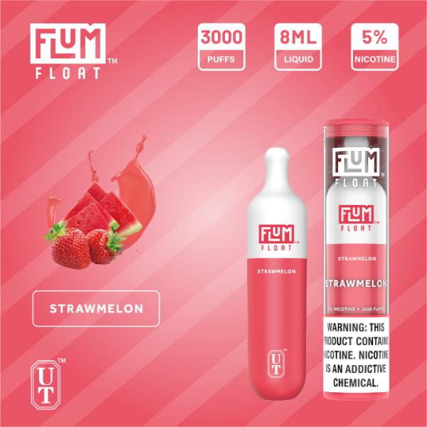 Flum Float 3000 Puffs Disposable Vape 8mL 10 Pack、mySite、zt4zffjzw