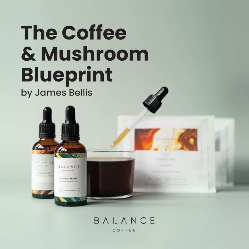 Coffee & Mushroom Blueprint to Unlock Peak Health worth 29.99、mySite、gigharbornorthrealestate