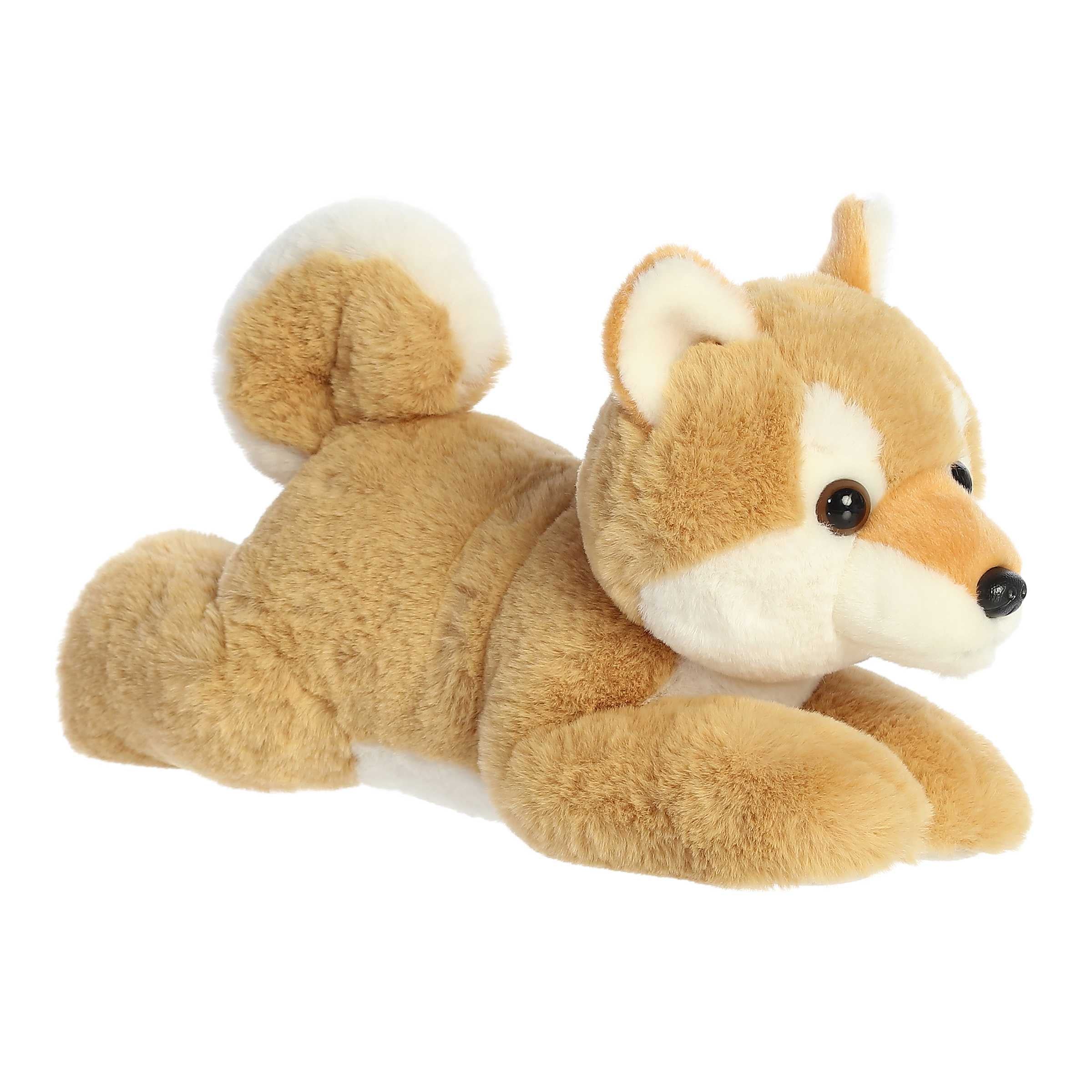 Aurora® - Flopsie™ - 12 Shiba Inu、mySite、g9winljtr