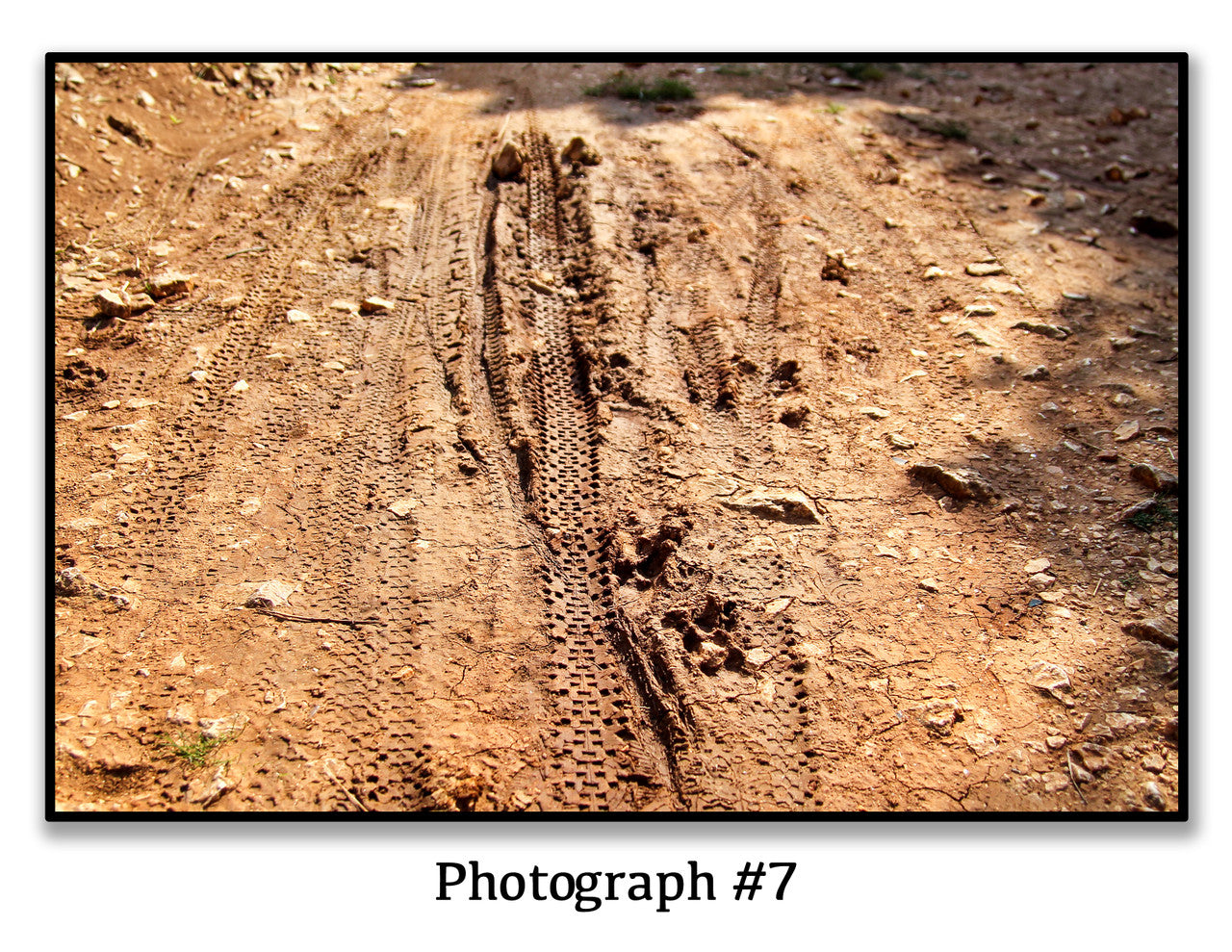 Science Fair Mystery Summer Camp Kit、mySite、lovesweatpilates