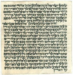  Holy Land Market Kosher Parchment from The Artazia Collection Mezuzah Scroll、mySite、elrpsem3k