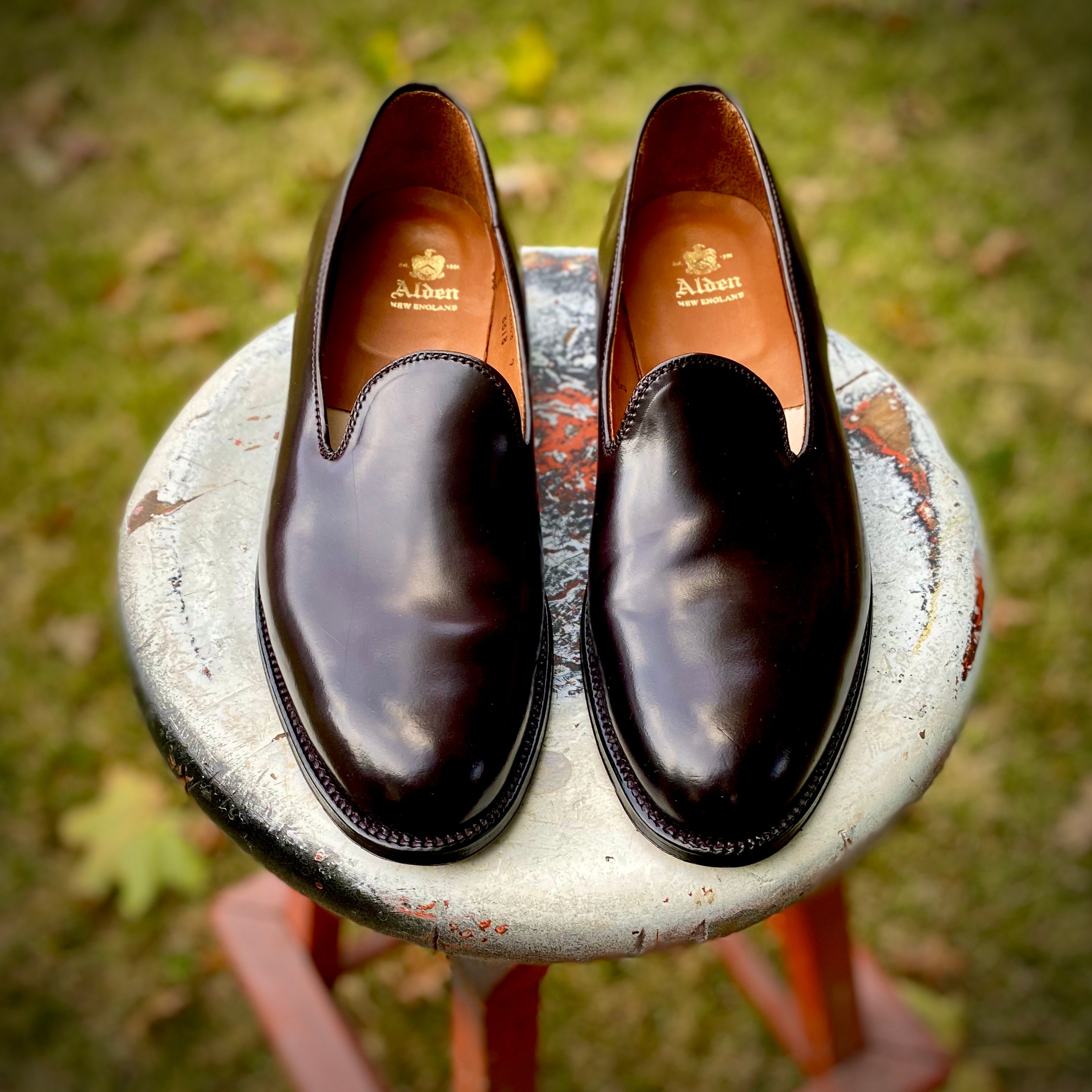  8818 - Plain Toe Slip On in Color 8 Shell、mySite、preschool7hills