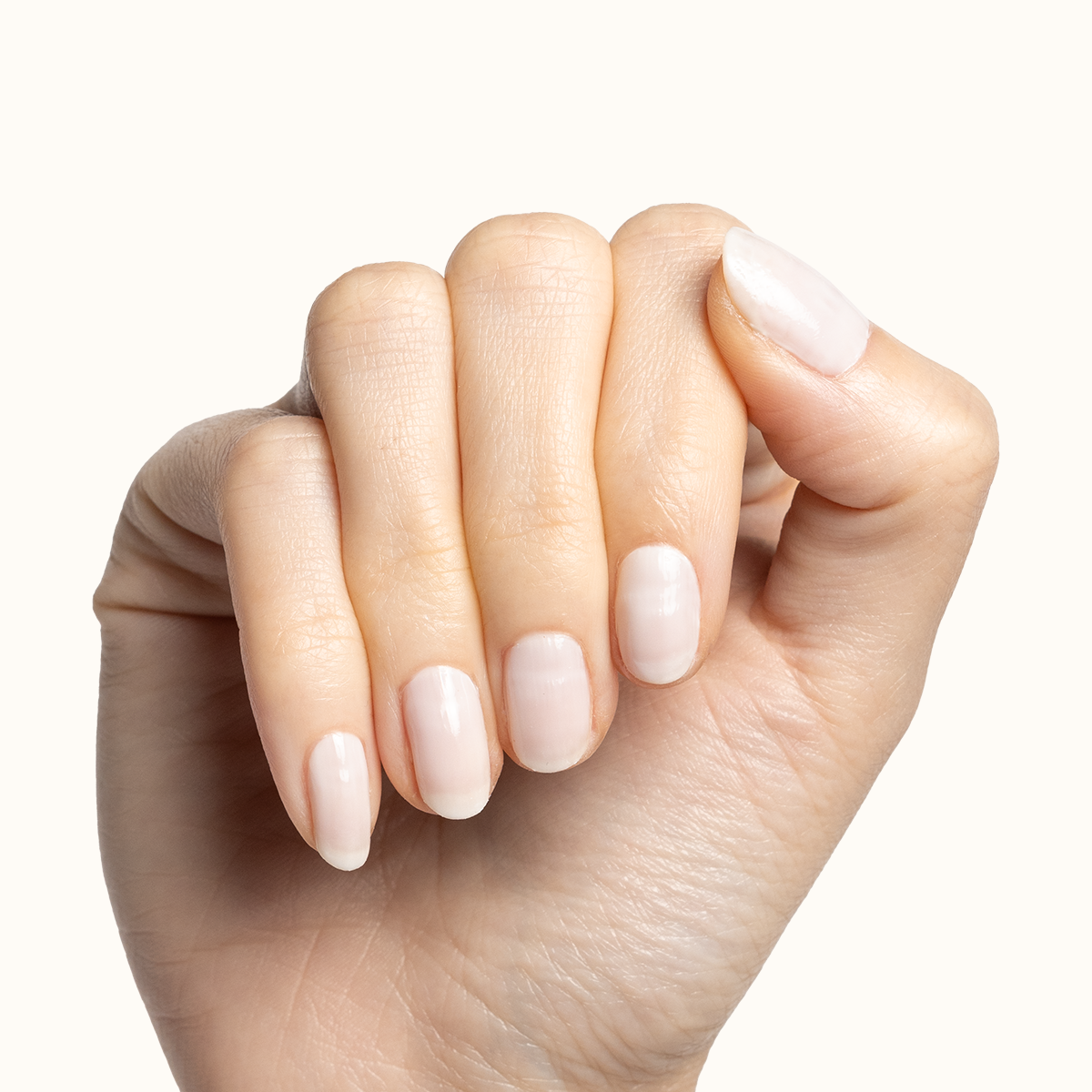 Buttercream、mySite、solidvoid