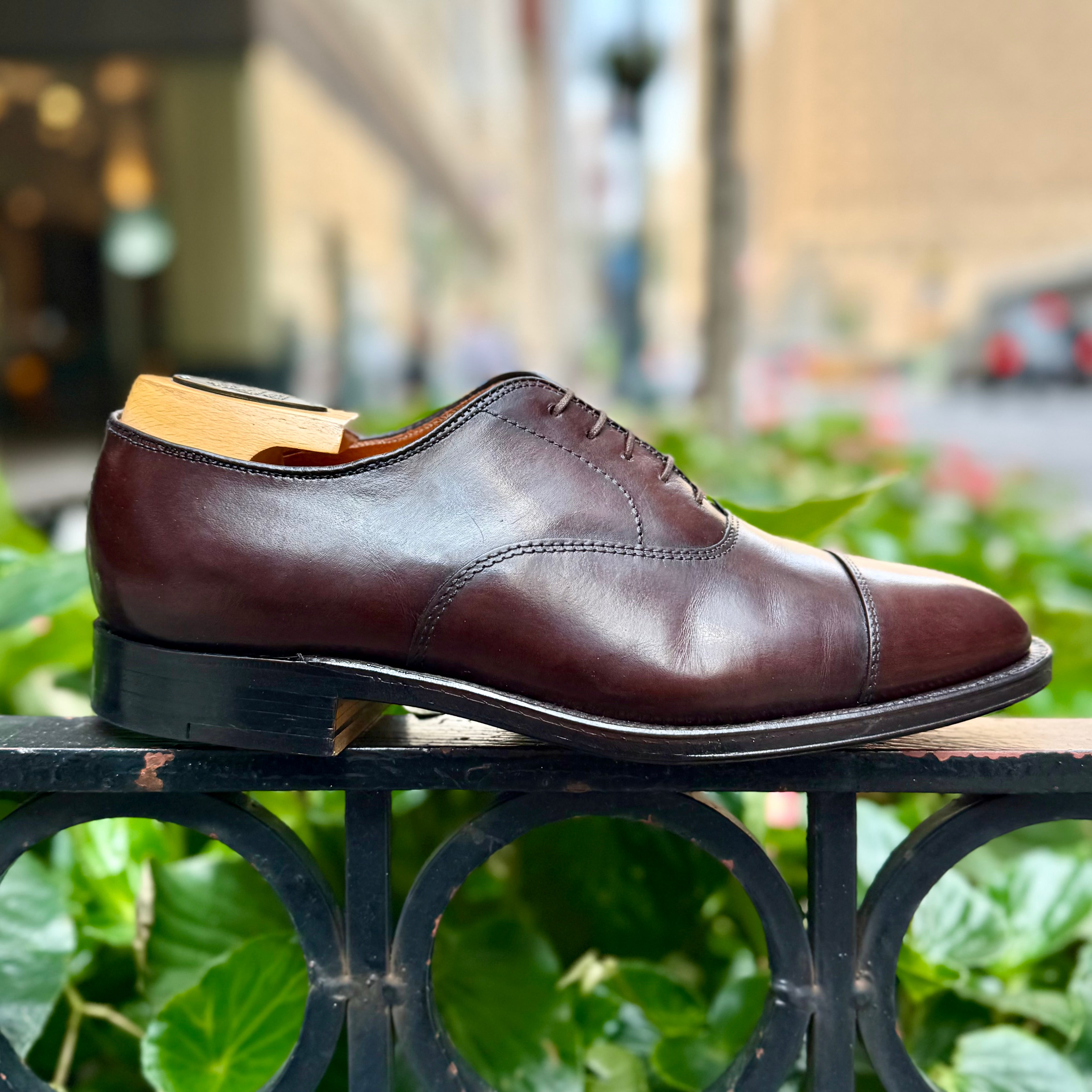  920 - Cap Toe Bal in Brown Calfskin、mySite、preschool7hills