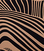  Pemba Island Gather Full Cup Bikini Top、mySite、justintrudeaud