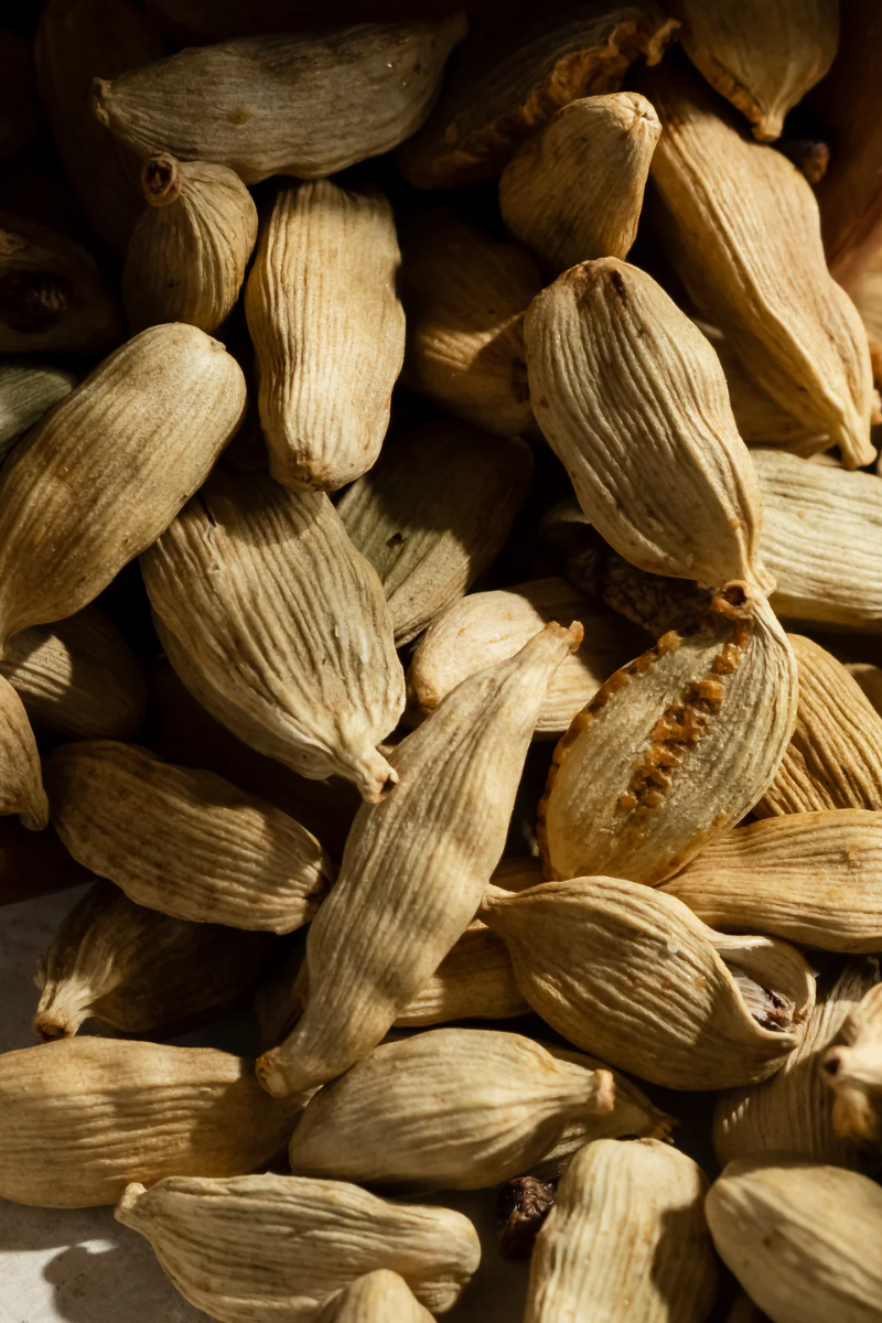 Pura Fragrance Refill - Havana (Archipelago)、mySite、hinf8tx79